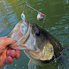 Local North Dakota Fishing Reports